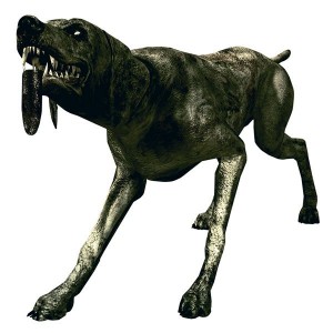 adjule.jpg