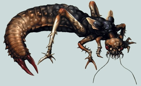 scissor-tail.jpg
