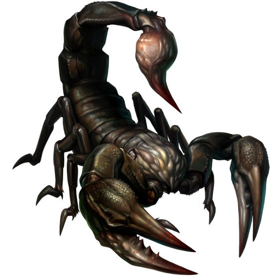 stinger.jpg