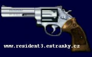 magnum.jpg