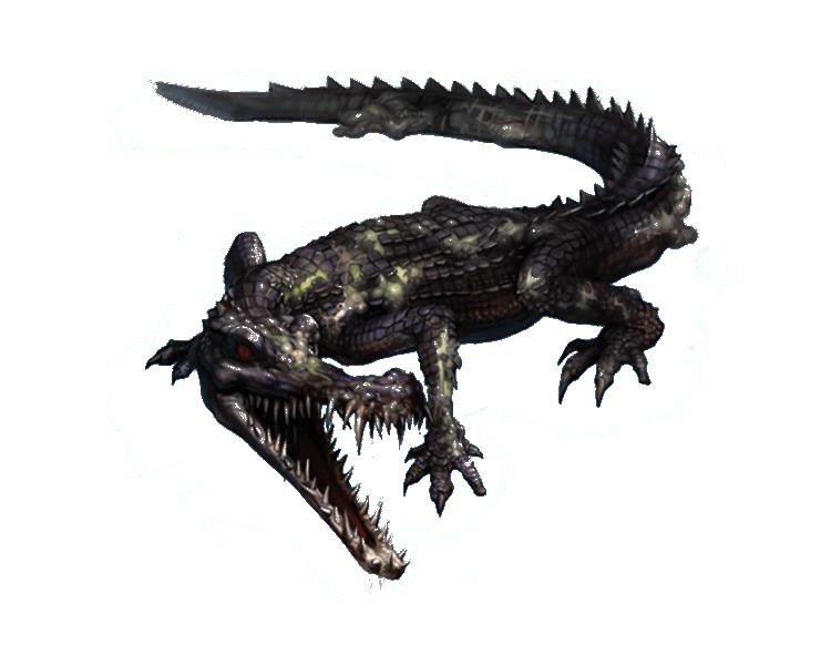 crocodile.jpg