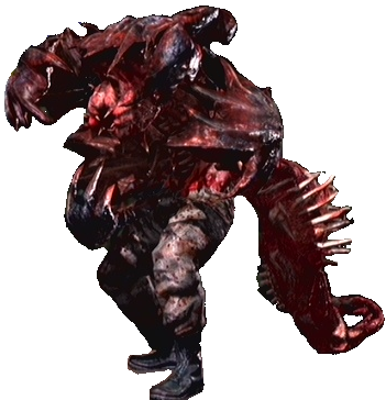 duvalia.png