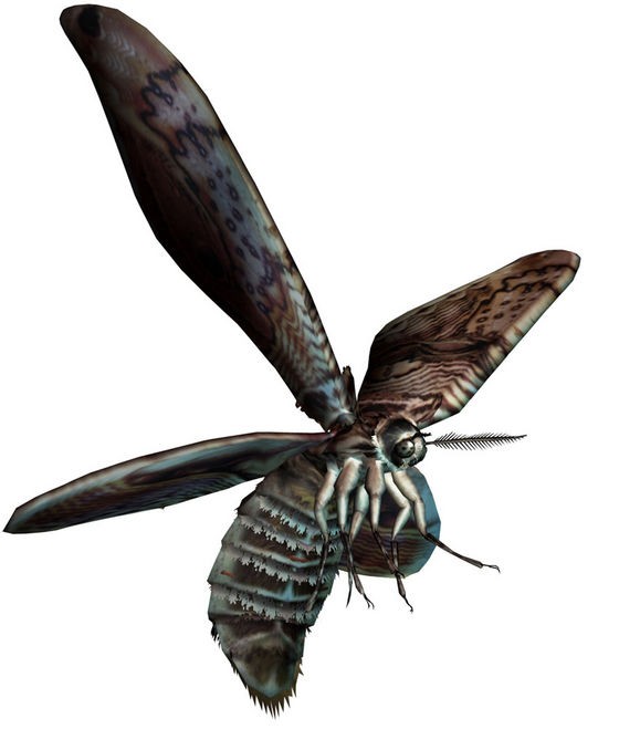 giant-moth.jpg