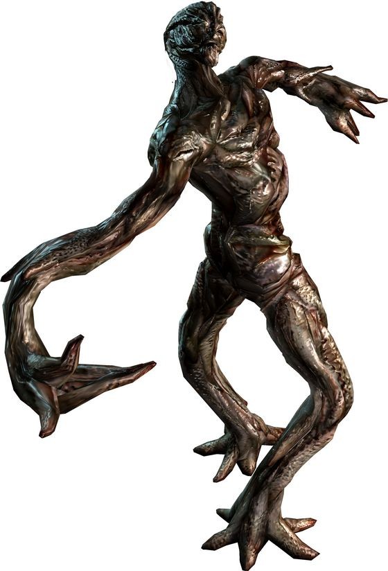 mimicry-markus.jpg