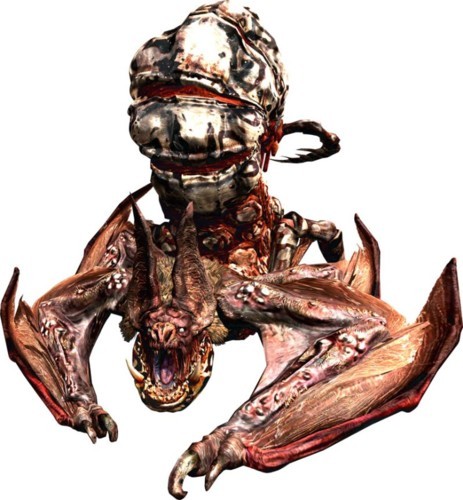 popokarimu.jpg